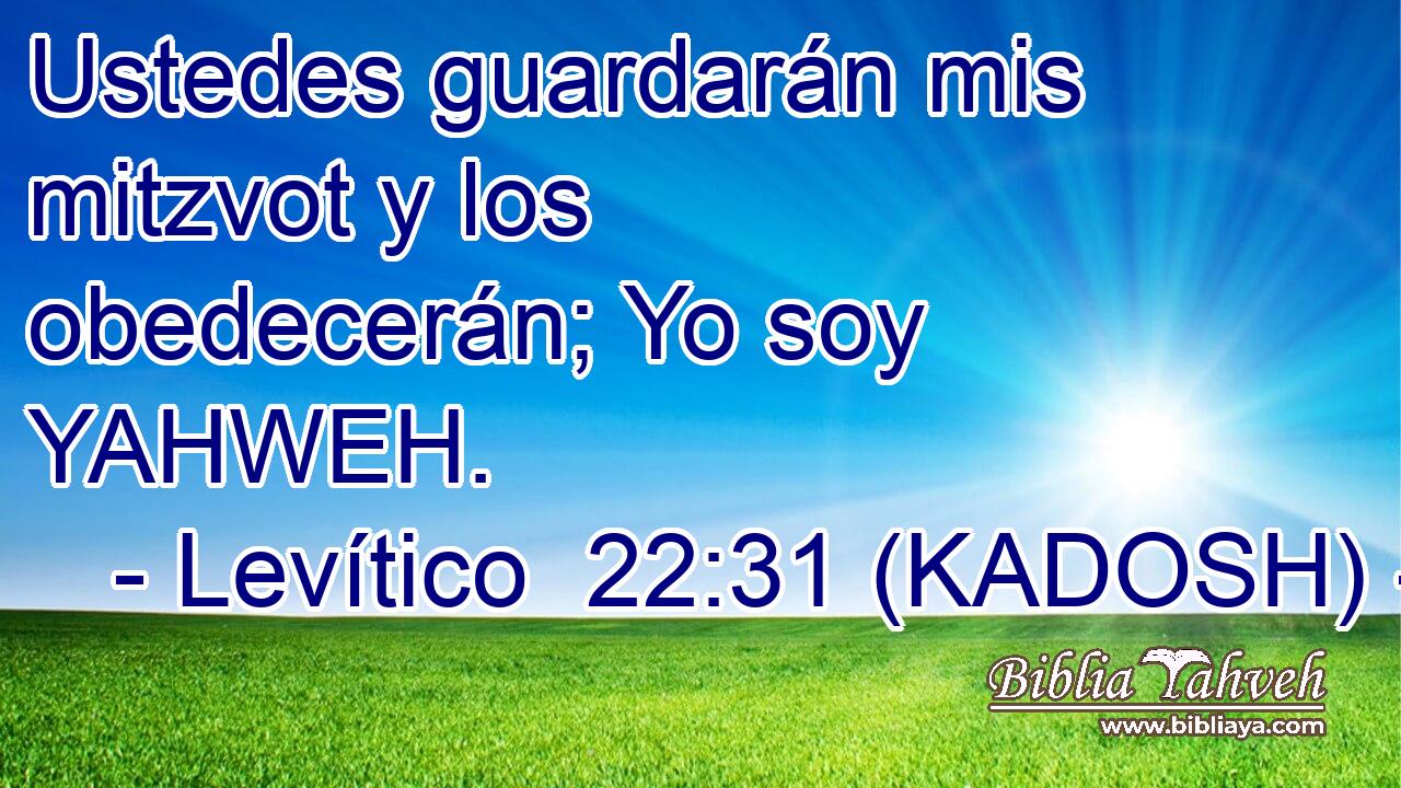  Ustedes guardarán mis mitzvot y los obedecerán; Yo soy YAHWEH. 