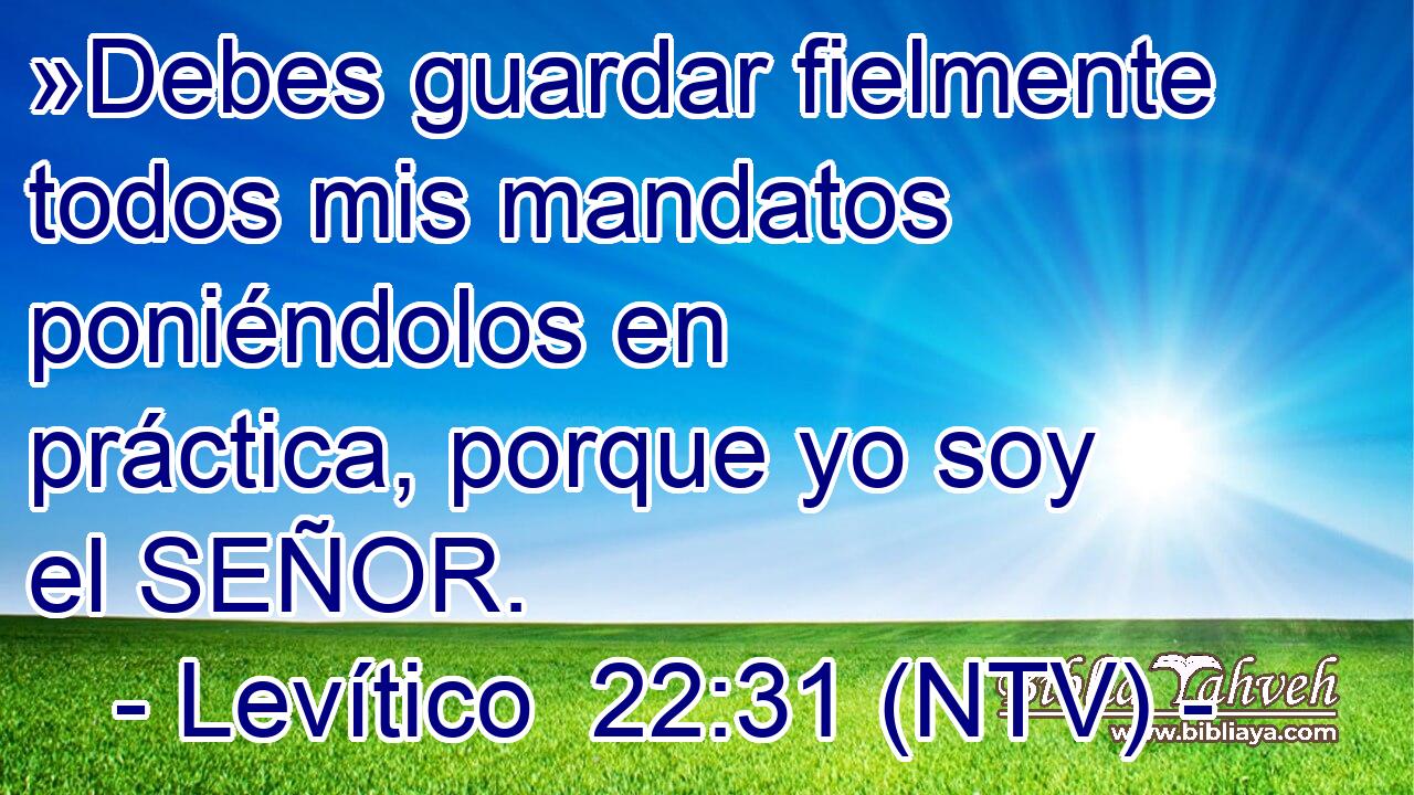 »Debes guardar fielmente todos mis mandatos poniéndolos en práctica, porque yo soy el SEÑOR.