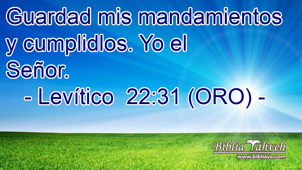  Guardad mis mandamientos y cumplidlos. Yo el Señor. 
