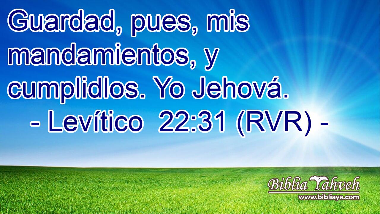 Guardad, pues, mis mandamientos, y cumplidlos. Yo Jehová.