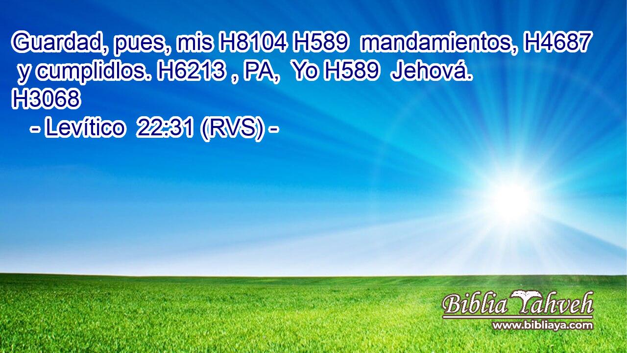 Guardad, pues, mis H8104 H589  mandamientos, H4687  y cumplidlos. H6213 , PA,  Yo H589  Jehová. H3068  