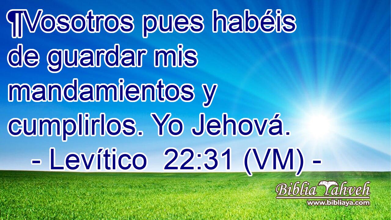  ¶Vosotros pues habéis de guardar mis mandamientos y cumplirlos. Yo Jehová. 