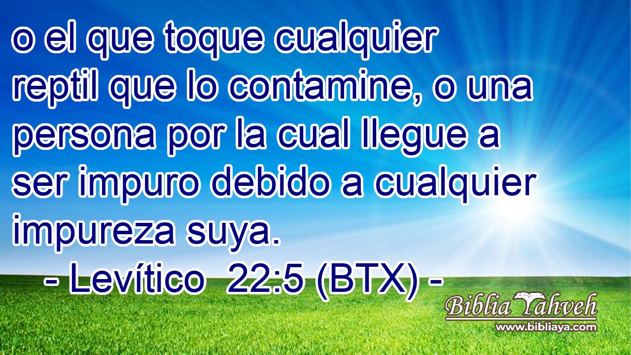 o el que toque cualquier reptil que lo contamine, o una persona por la cual llegue a ser impuro debido a cualquier impureza suya.