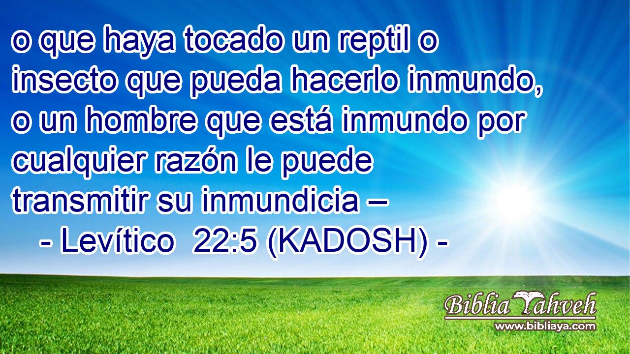  o que haya tocado un reptil o insecto que pueda hacerlo inmundo, o un hombre que está inmundo por cualquier razón le puede transmitir su inmundicia – 