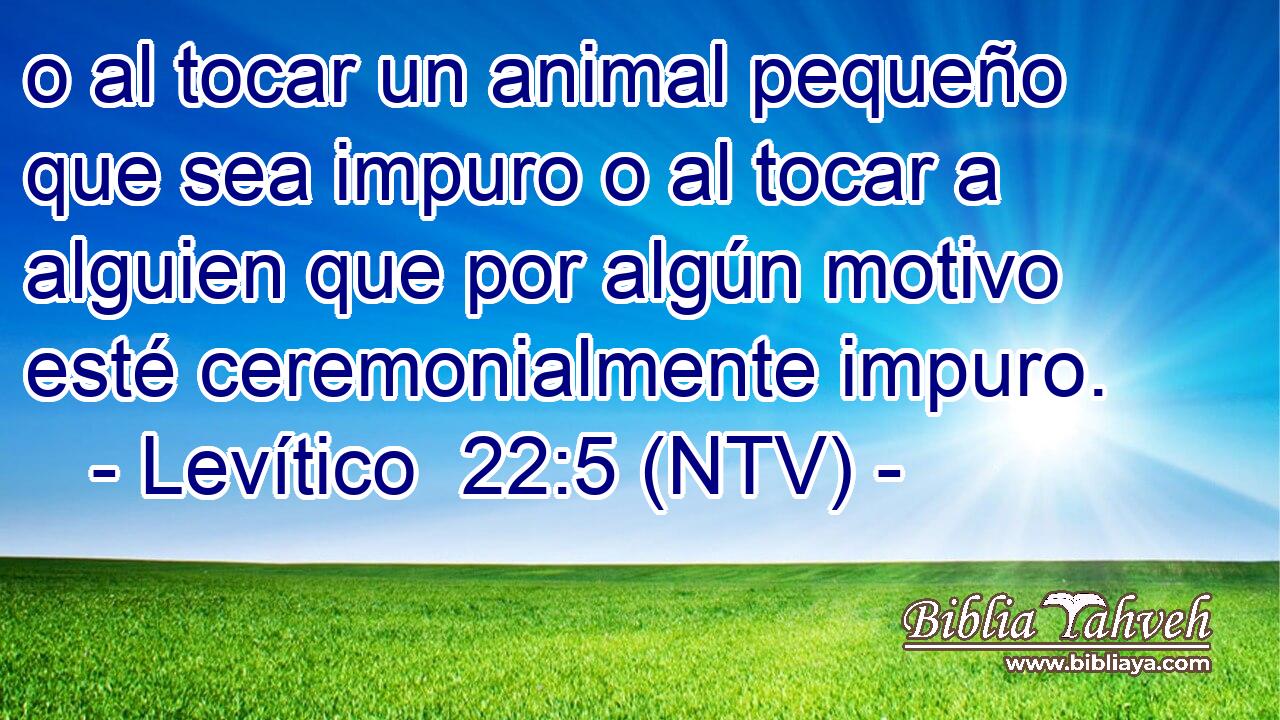 o al tocar un animal pequeño que sea impuro o al tocar a alguien que por algún motivo esté ceremonialmente impuro.