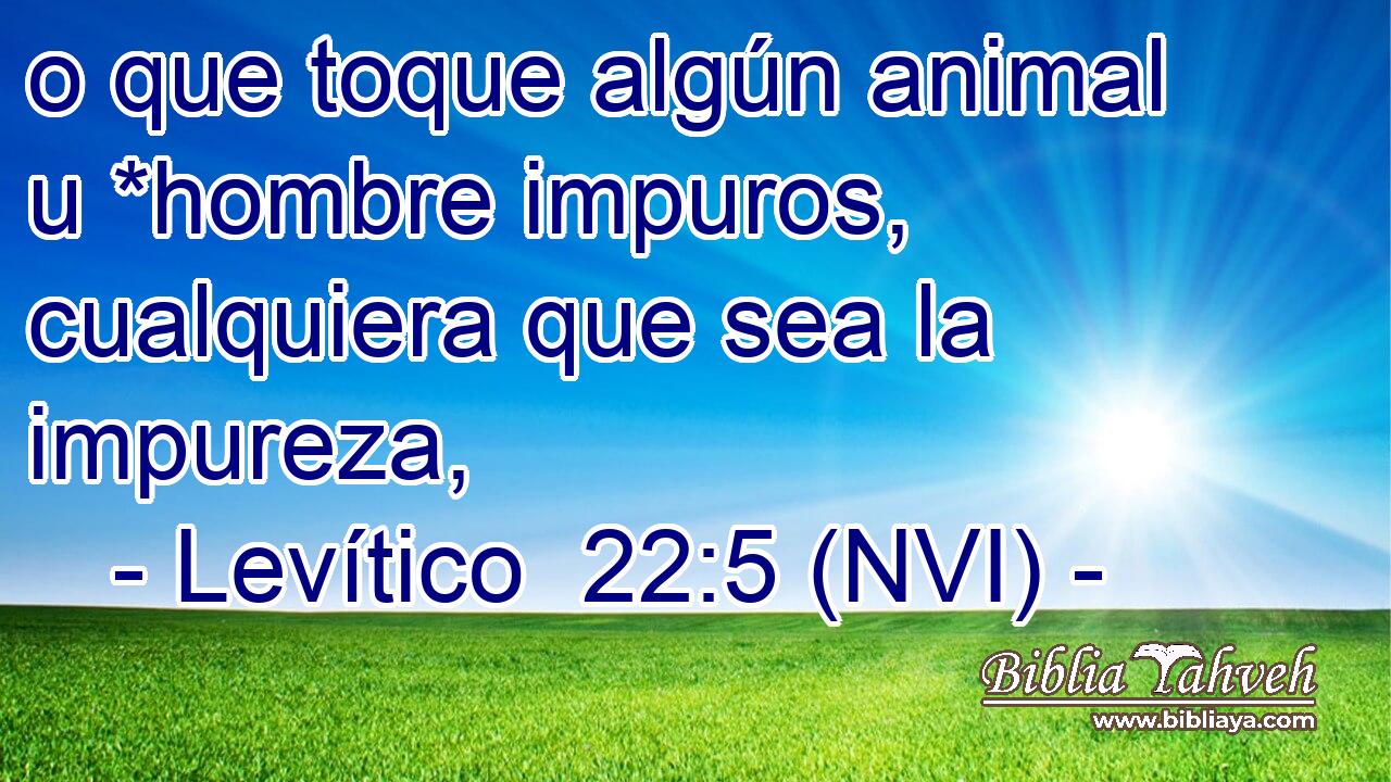  o que toque algún animal u *hombre impuros, cualquiera que sea la impureza, 