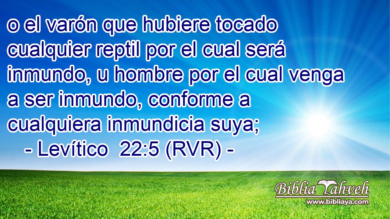 o el varón que hubiere tocado cualquier reptil por el cual será inmundo, u hombre por el cual venga a ser inmundo, conforme a cualquiera inmundicia suya;