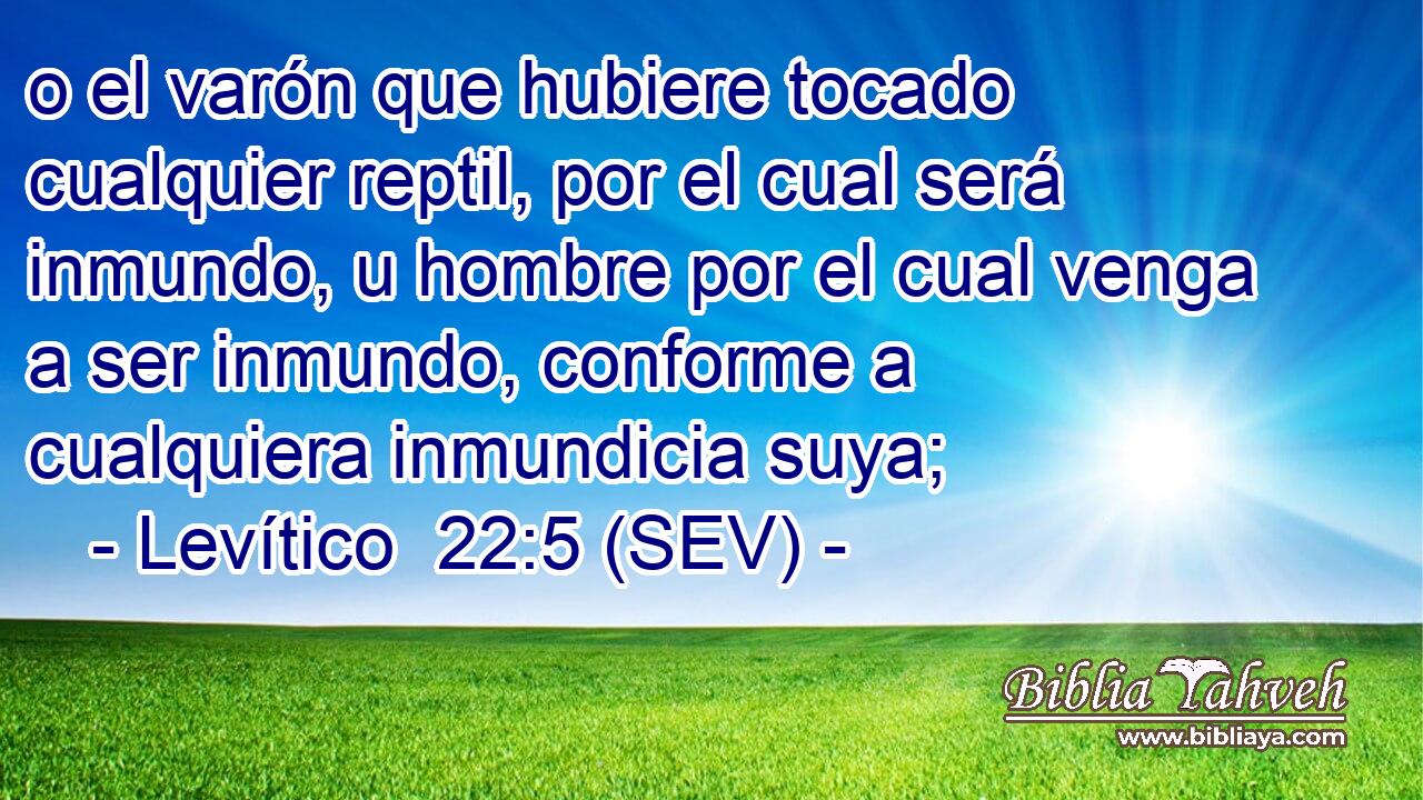 o el varón que hubiere tocado cualquier reptil, por el cual será inmundo, u hombre por el cual venga a ser inmundo, conforme a cualquiera inmundicia suya;