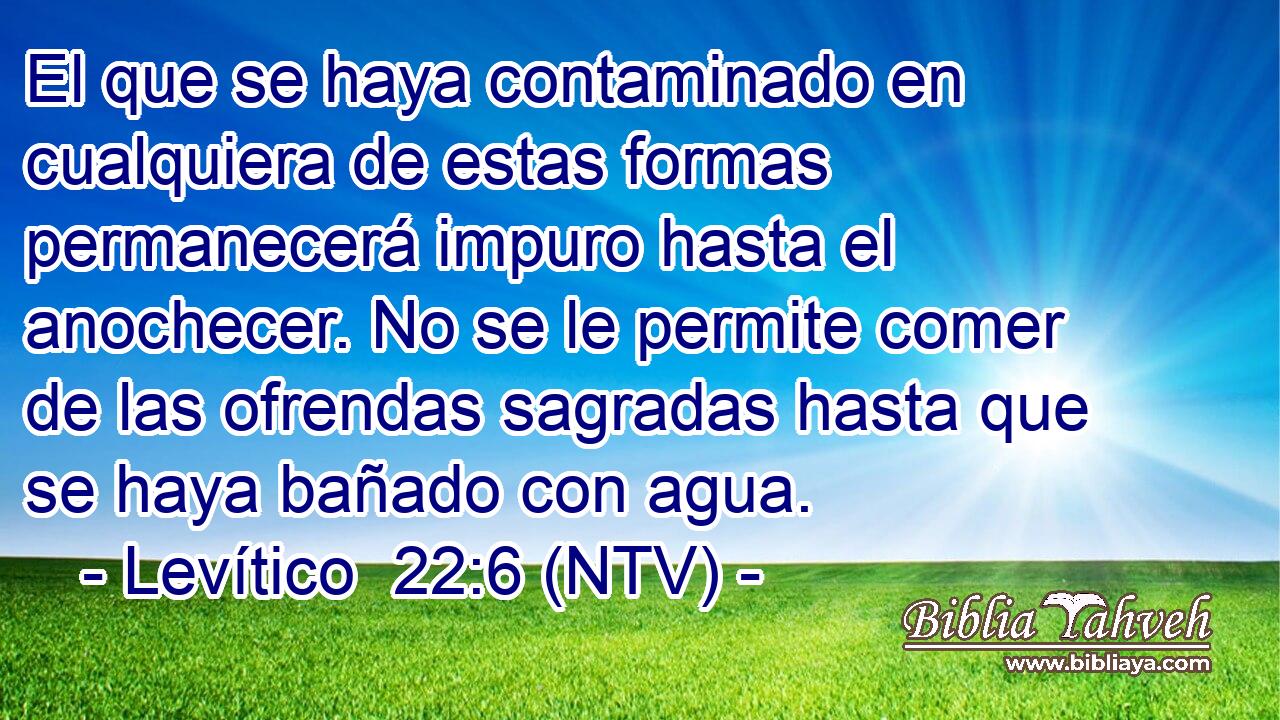El que se haya contaminado en cualquiera de estas formas permanecerá impuro hasta el anochecer. No se le permite comer de las ofrendas sagradas hasta que se haya bañado con agua.
