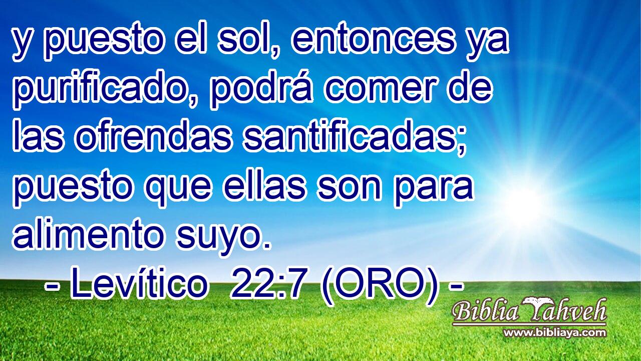  y puesto el sol, entonces ya purificado, podrá comer de las ofrendas santificadas; puesto que ellas son para alimento suyo. 