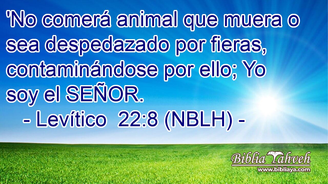  'No comerá animal que muera o sea despedazado por fieras, contaminándose por ello; Yo soy el SEÑOR. 