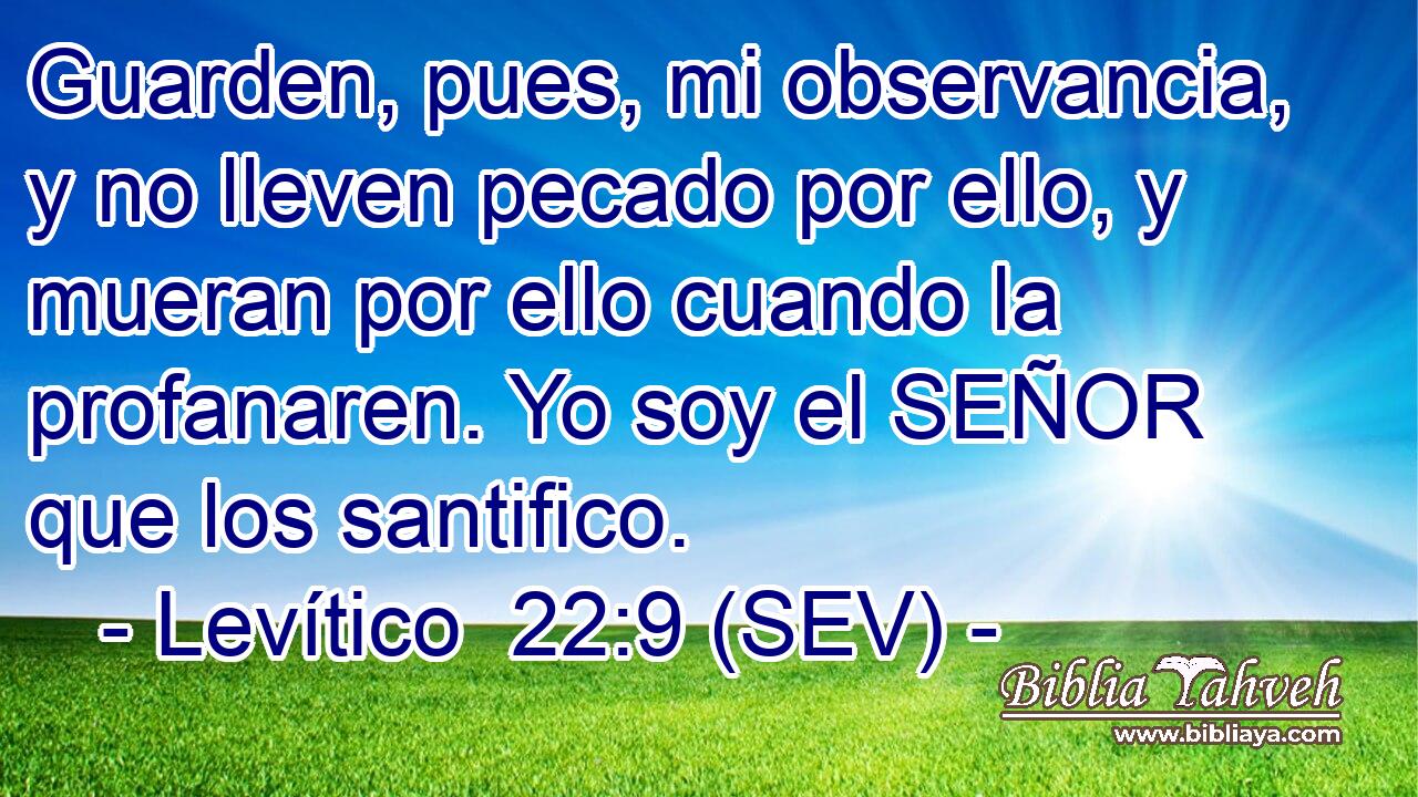 Guarden, pues, mi observancia, y no lleven pecado por ello, y mueran por ello cuando la profanaren. Yo soy el SEÑOR que los santifico.