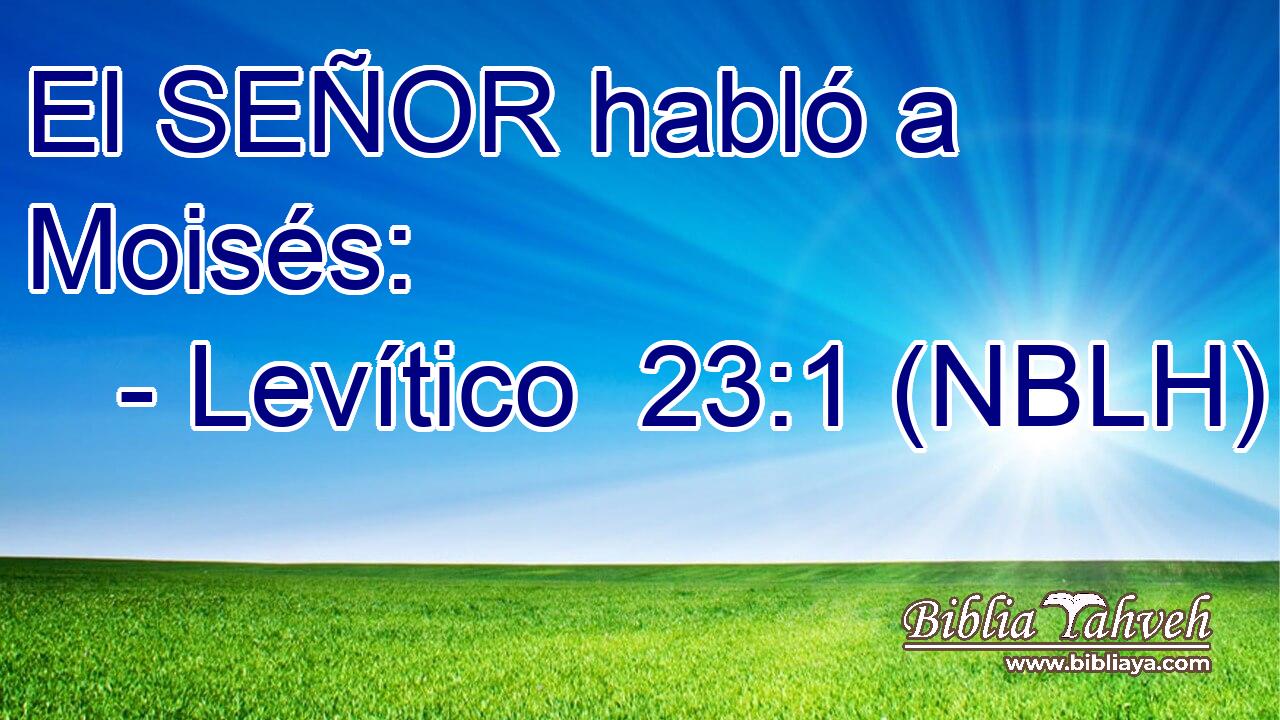  El SEÑOR habló a Moisés: 