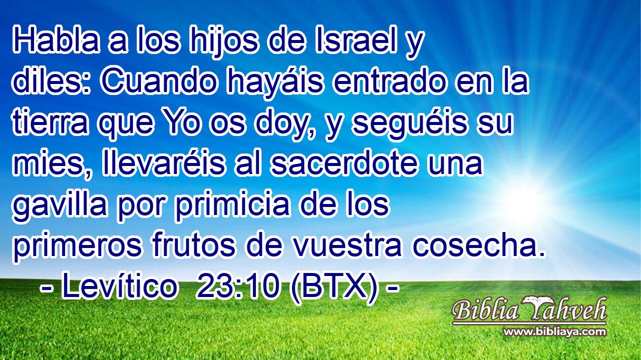 Habla a los hijos de Israel y diles: Cuando hayáis entrado en la tierra que Yo os doy, y seguéis su mies, llevaréis al sacerdote una gavilla por primicia de los primeros frutos de vuestra cosecha.