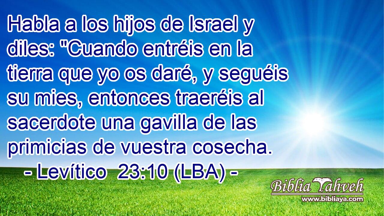 Habla a los hijos de Israel y diles: 