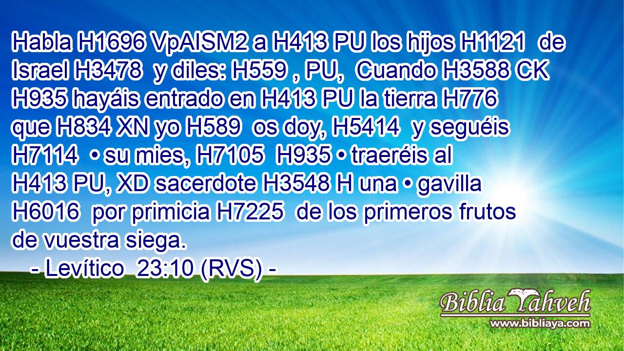 Habla H1696 VpAISM2 a H413 PU los hijos H1121  de Israel H3478  y diles: H559 , PU,  Cuando H3588 CK H935 hayáis entrado en H413 PU la tierra H776  que H834 XN yo H589  os doy, H5414  y seguéis H7114  • su mies, H7105  H935 • traeréis al H413 PU, XD sacerdote H3548 H una • gavilla H6016  por primicia H7225  de los primeros frutos de vuestra siega. 