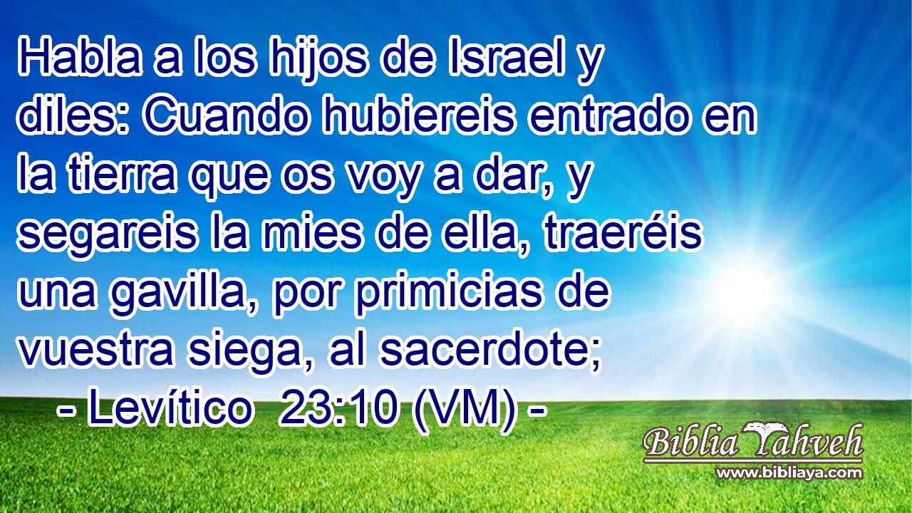  Habla a los hijos de Israel y diles: Cuando hubiereis entrado en la tierra que os voy a dar, y segareis la mies de ella, traeréis una gavilla, por primicias de vuestra siega, al sacerdote; 