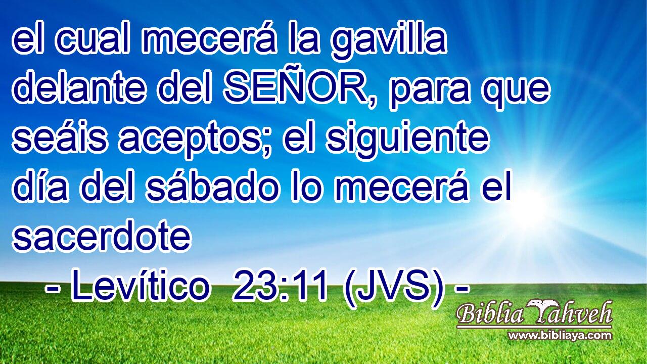 el cual mecerá la gavilla delante del SEÑOR, para que seáis aceptos; el siguiente día del sábado lo mecerá el sacerdote