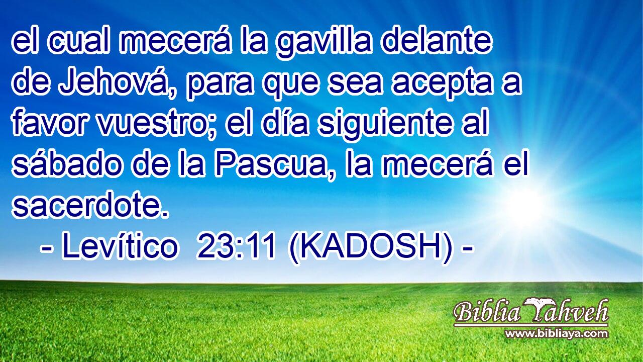  el cual mecerá la gavilla delante de Jehová, para que sea acepta a favor vuestro; el día siguiente al sábado de la Pascua, la mecerá el sacerdote. 