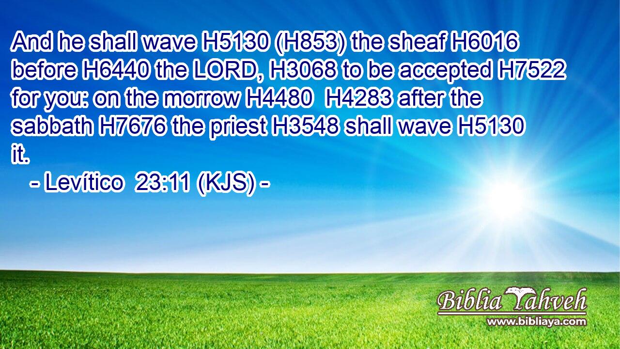 And he shall wave H5130 (H853) the sheaf H6016 before H6440 the LORD, H3068 to be accepted H7522 for you: on the morrow H4480  H4283 after the sabbath H7676 the priest H3548 shall wave H5130 it.