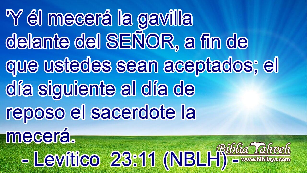  'Y él mecerá la gavilla delante del SEÑOR, a fin de que ustedes sean aceptados; el día siguiente al día de reposo el sacerdote la mecerá. 