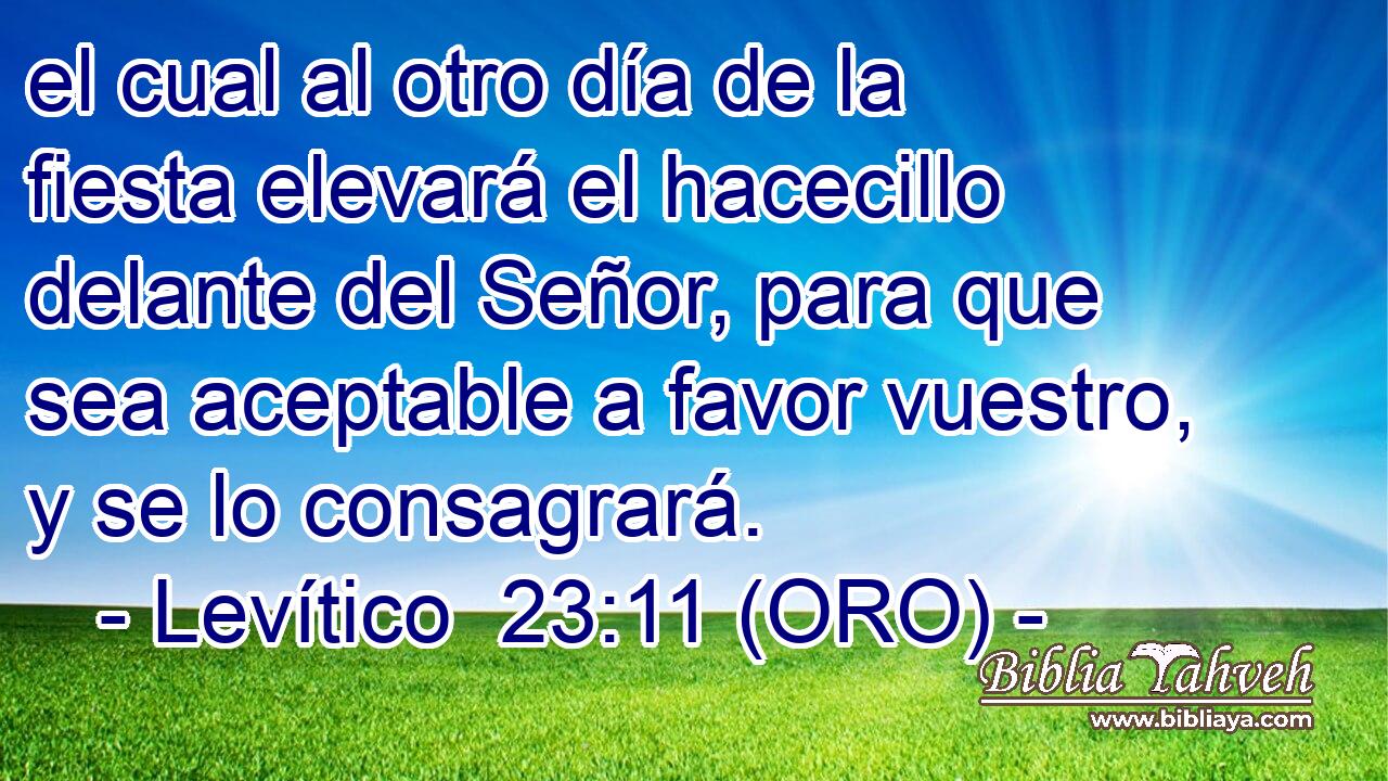  el cual al otro día de la fiesta elevará el hacecillo delante del Señor, para que sea aceptable a favor vuestro, y se lo consagrará. 