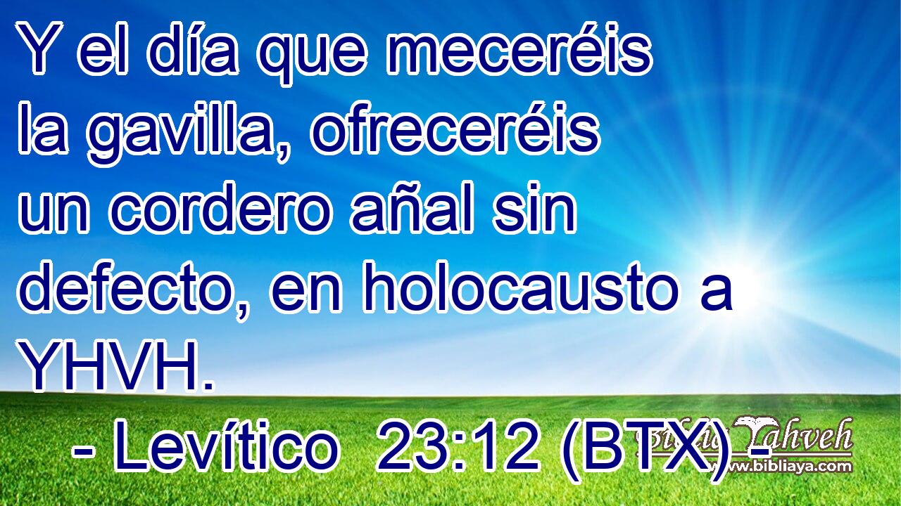 Y el día que meceréis la gavilla, ofreceréis un cordero añal sin defecto, en holocausto a YHVH.