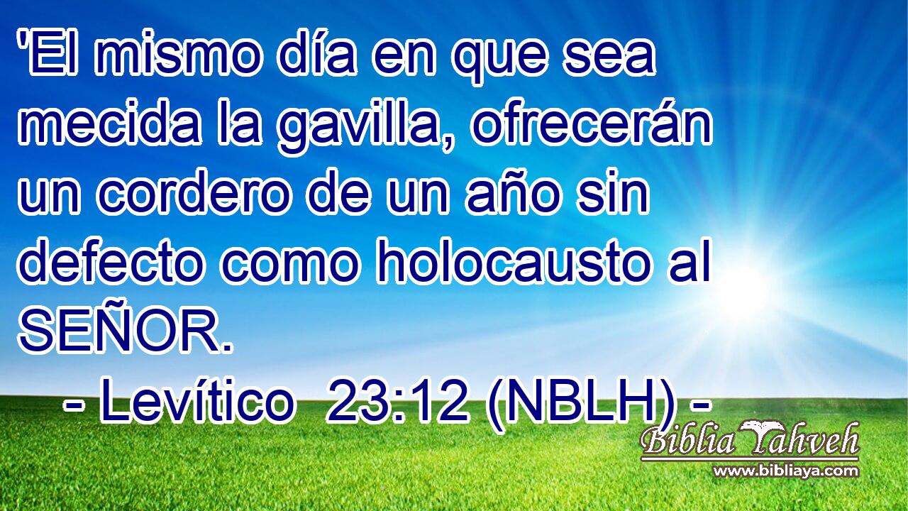  'El mismo día en que sea mecida la gavilla, ofrecerán un cordero de un año sin defecto como holocausto al SEÑOR. 