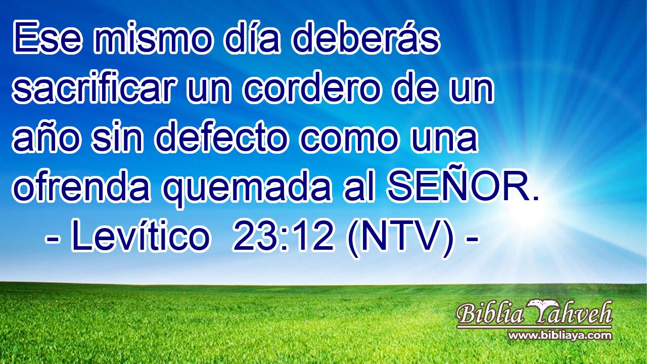 Ese mismo día deberás sacrificar un cordero de un año sin defecto como una ofrenda quemada al SEÑOR.