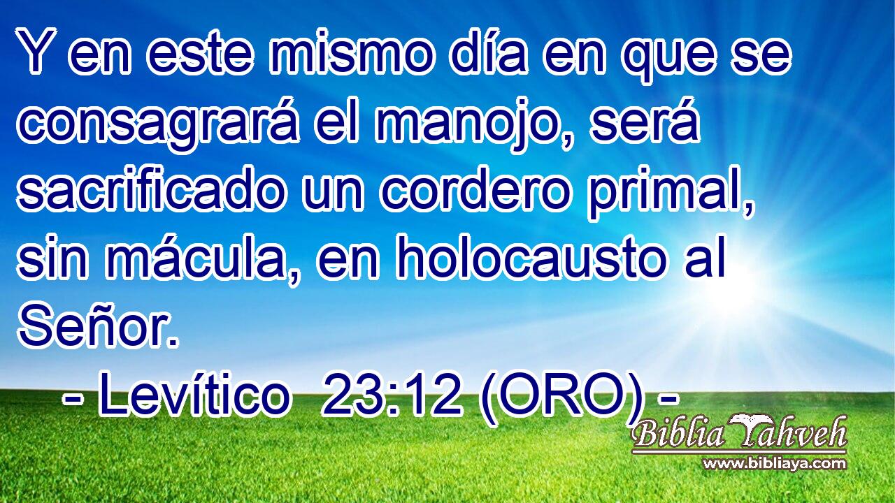  Y en este mismo día en que se consagrará el manojo, será sacrificado un cordero primal, sin mácula, en holocausto al Señor. 