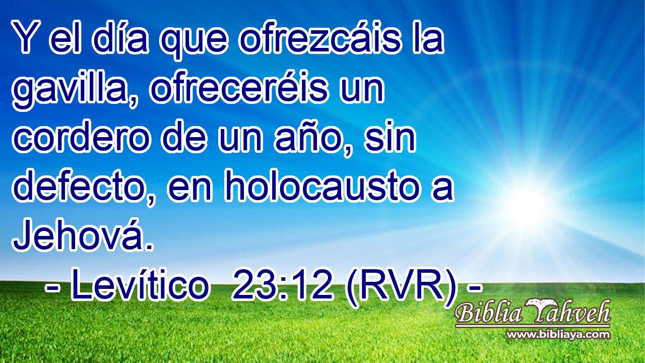 Y el día que ofrezcáis la gavilla, ofreceréis un cordero de un año, sin defecto, en holocausto a Jehová.