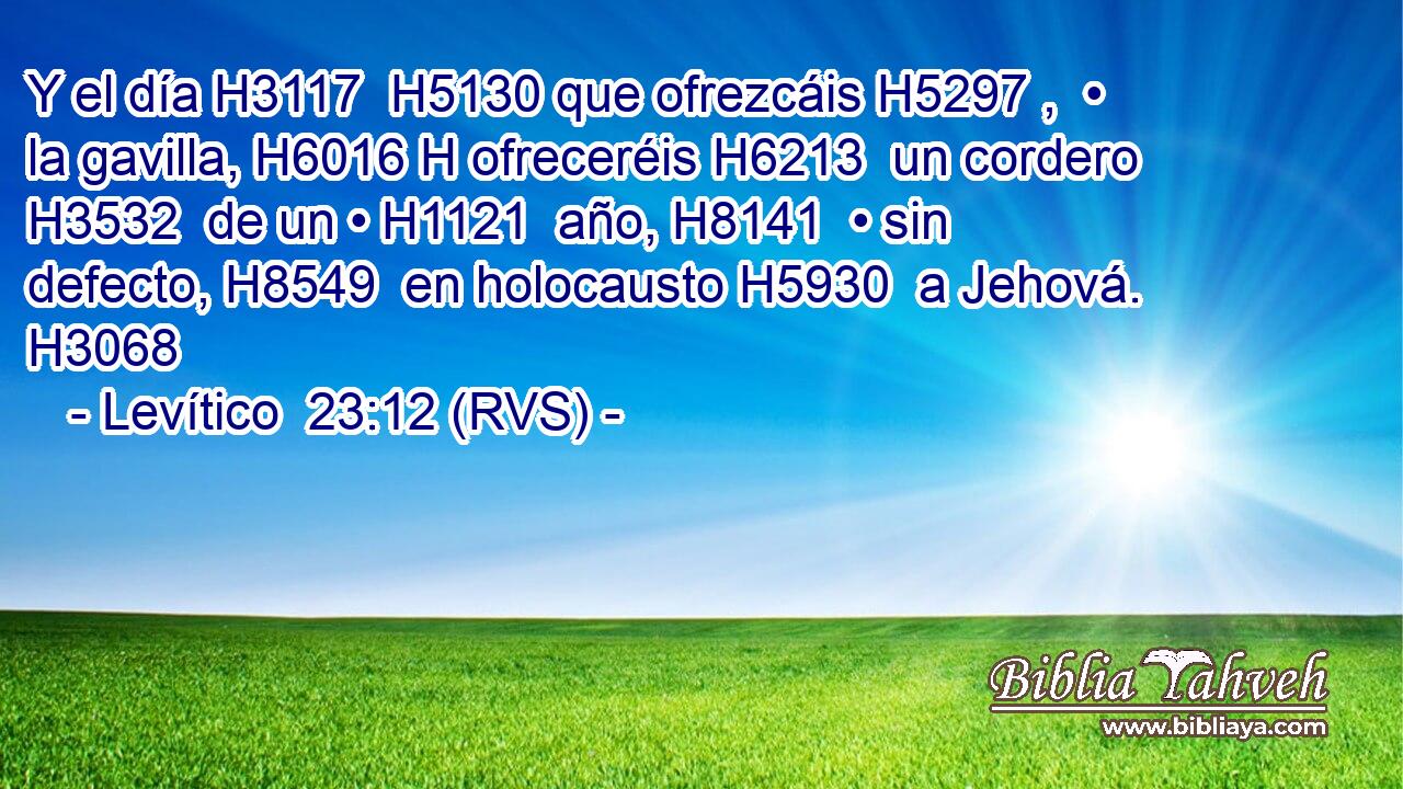 Y el día H3117  H5130 que ofrezcáis H5297 ,  • la gavilla, H6016 H ofreceréis H6213  un cordero H3532  de un • H1121  año, H8141  • sin defecto, H8549  en holocausto H5930  a Jehová. H3068  
