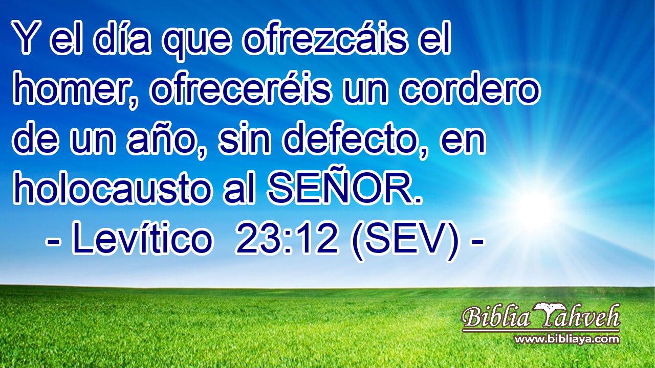Y el día que ofrezcáis el homer, ofreceréis un cordero de un año, sin defecto, en holocausto al SEÑOR.