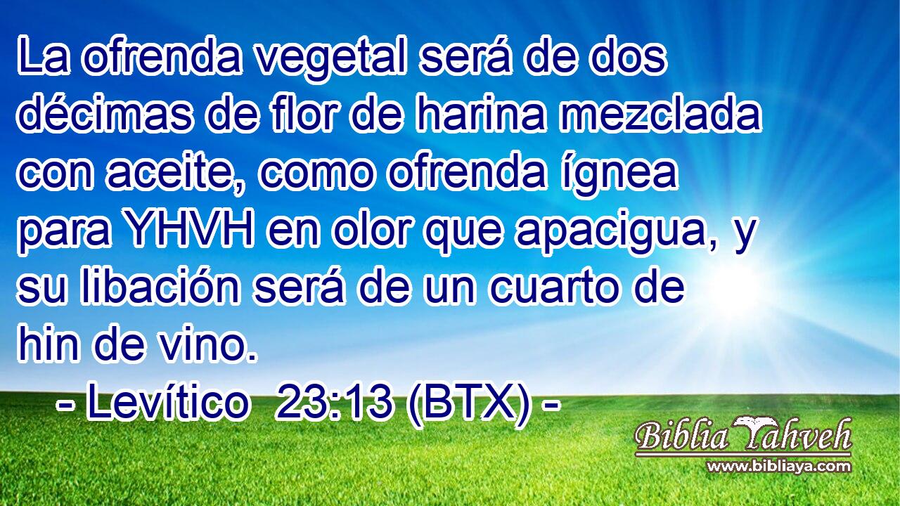 La ofrenda vegetal será de dos décimas de flor de harina mezclada con aceite, como ofrenda ígnea para YHVH en olor que apacigua, y su libación será de un cuarto de hin de vino.