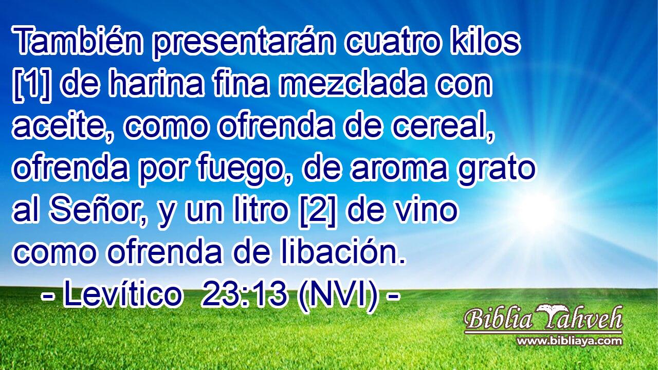  También presentarán cuatro kilos [1] de harina fina mezclada con aceite, como ofrenda de cereal, ofrenda por fuego, de aroma grato al Señor, y un litro [2] de vino como ofrenda de libación. 