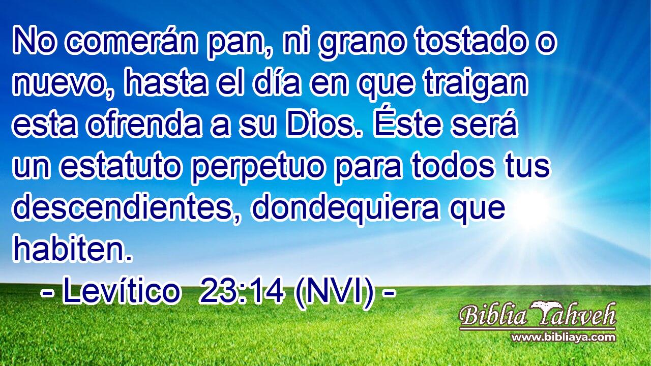  No comerán pan, ni grano tostado o nuevo, hasta el día en que traigan esta ofrenda a su Dios. Éste será un estatuto perpetuo para todos tus descendientes, dondequiera que habiten. 