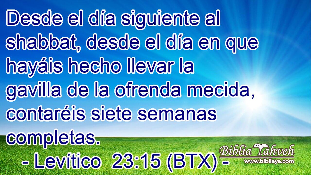 Desde el día siguiente al shabbat, desde el día en que hayáis hecho llevar la gavilla de la ofrenda mecida, contaréis siete semanas completas.