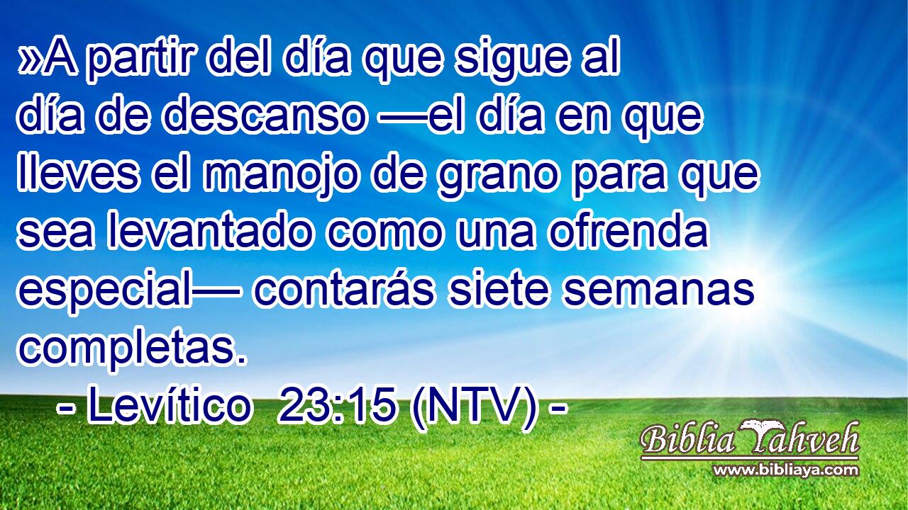 »A partir del día que sigue al día de descanso —el día en que lleves el manojo de grano para que sea levantado como una ofrenda especial— contarás siete semanas completas.