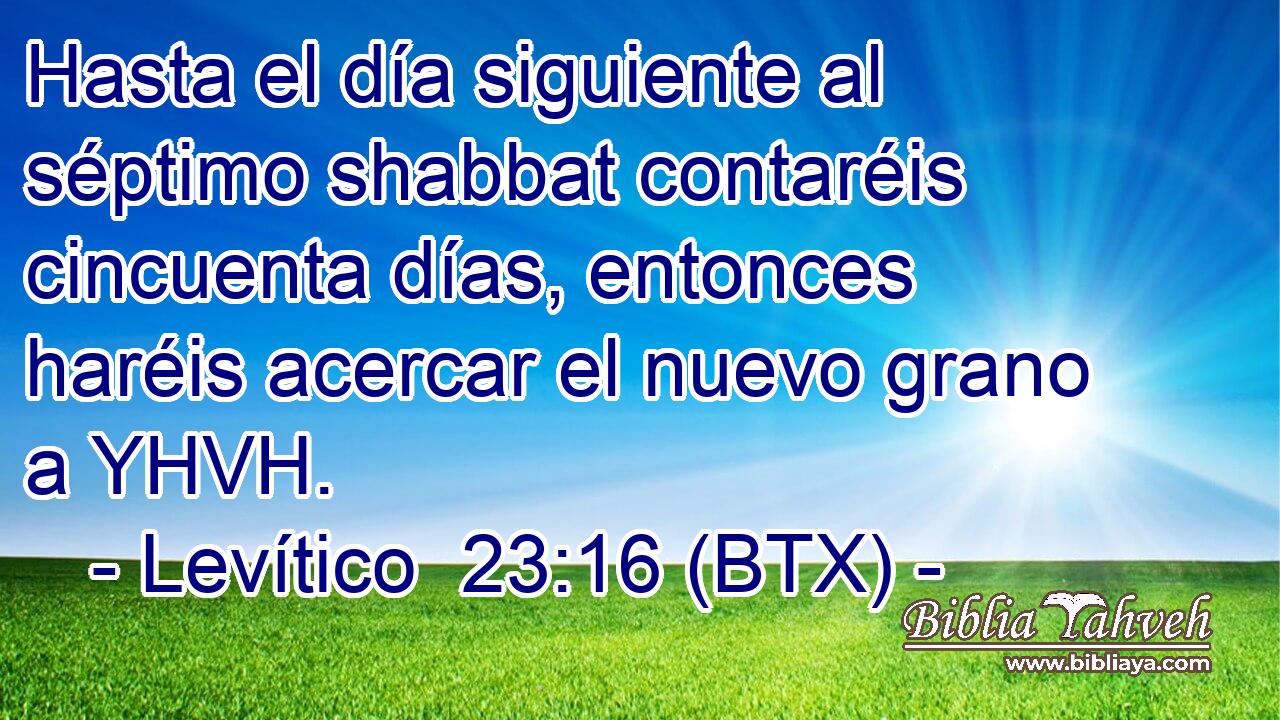 Hasta el día siguiente al séptimo shabbat contaréis cincuenta días, entonces haréis acercar el nuevo grano a YHVH.