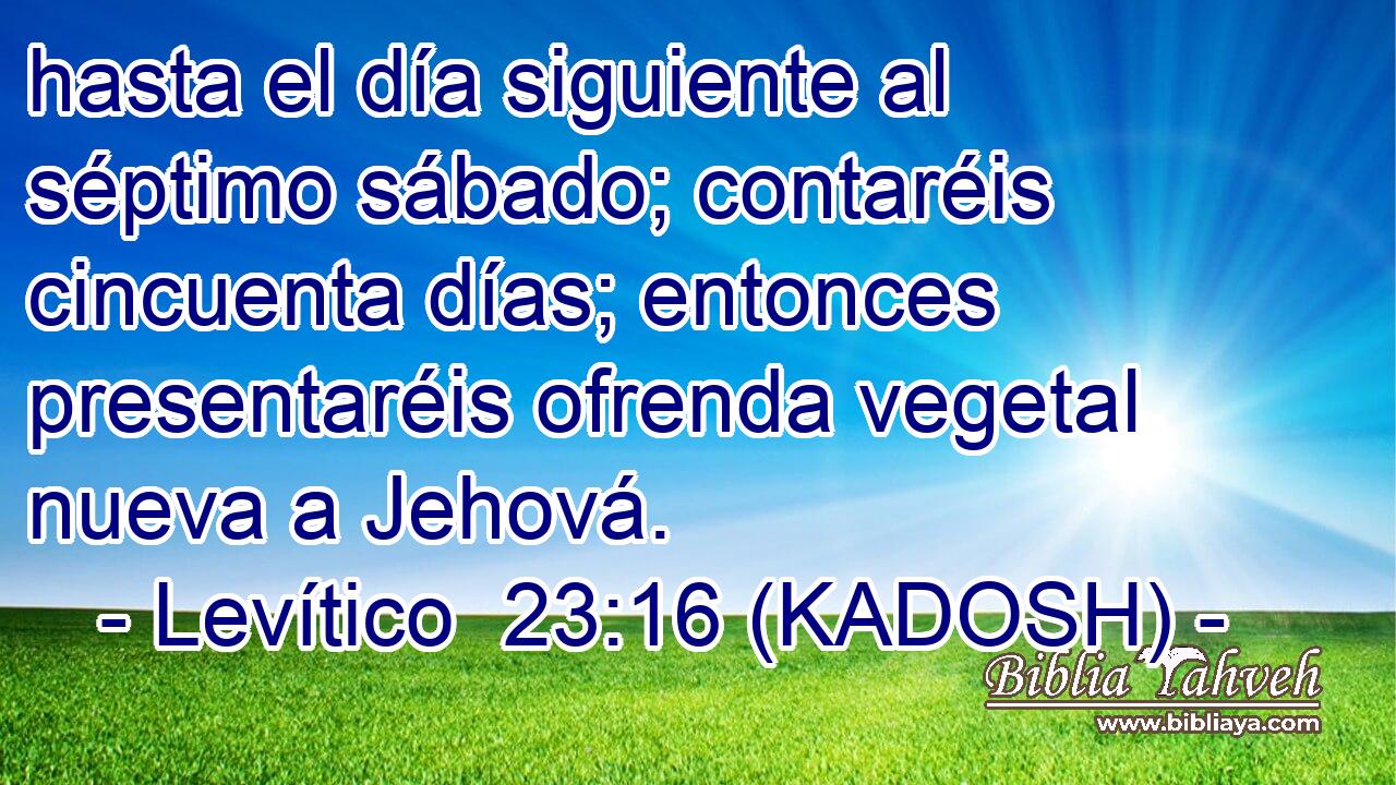  hasta el día siguiente al séptimo sábado; contaréis cincuenta días; entonces presentaréis ofrenda vegetal nueva a Jehová. 
