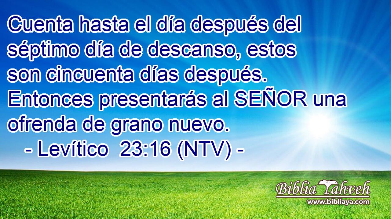 Cuenta hasta el día después del séptimo día de descanso, estos son cincuenta días después. Entonces presentarás al SEÑOR una ofrenda de grano nuevo.