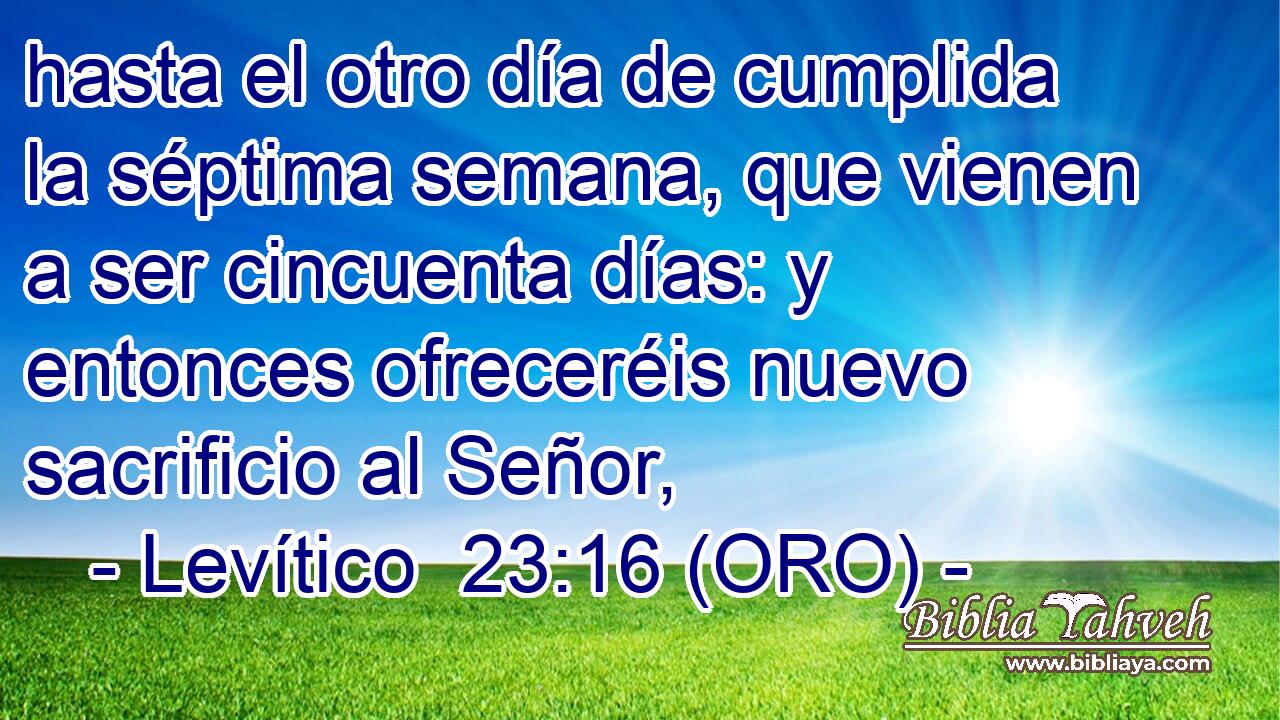  hasta el otro día de cumplida la séptima semana, que vienen a ser cincuenta días: y entonces ofreceréis nuevo sacrificio al Señor, 