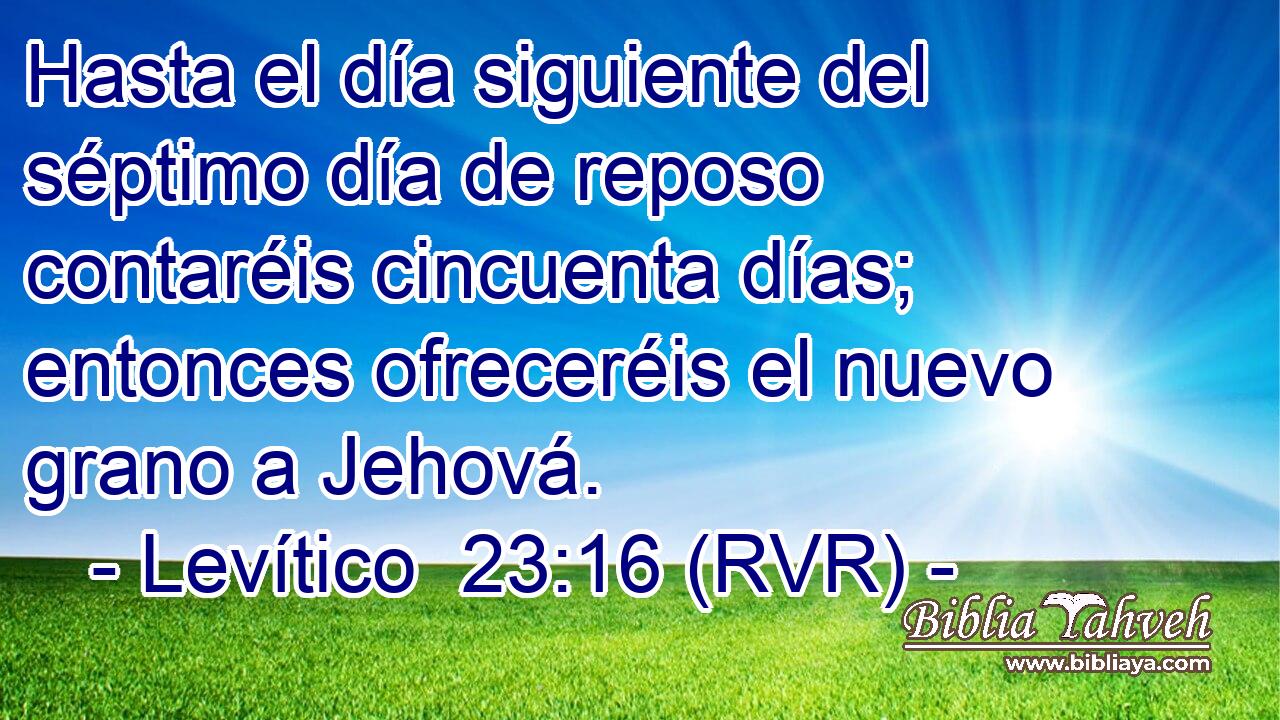Hasta el día siguiente del séptimo día de reposo contaréis cincuenta días; entonces ofreceréis el nuevo grano a Jehová.