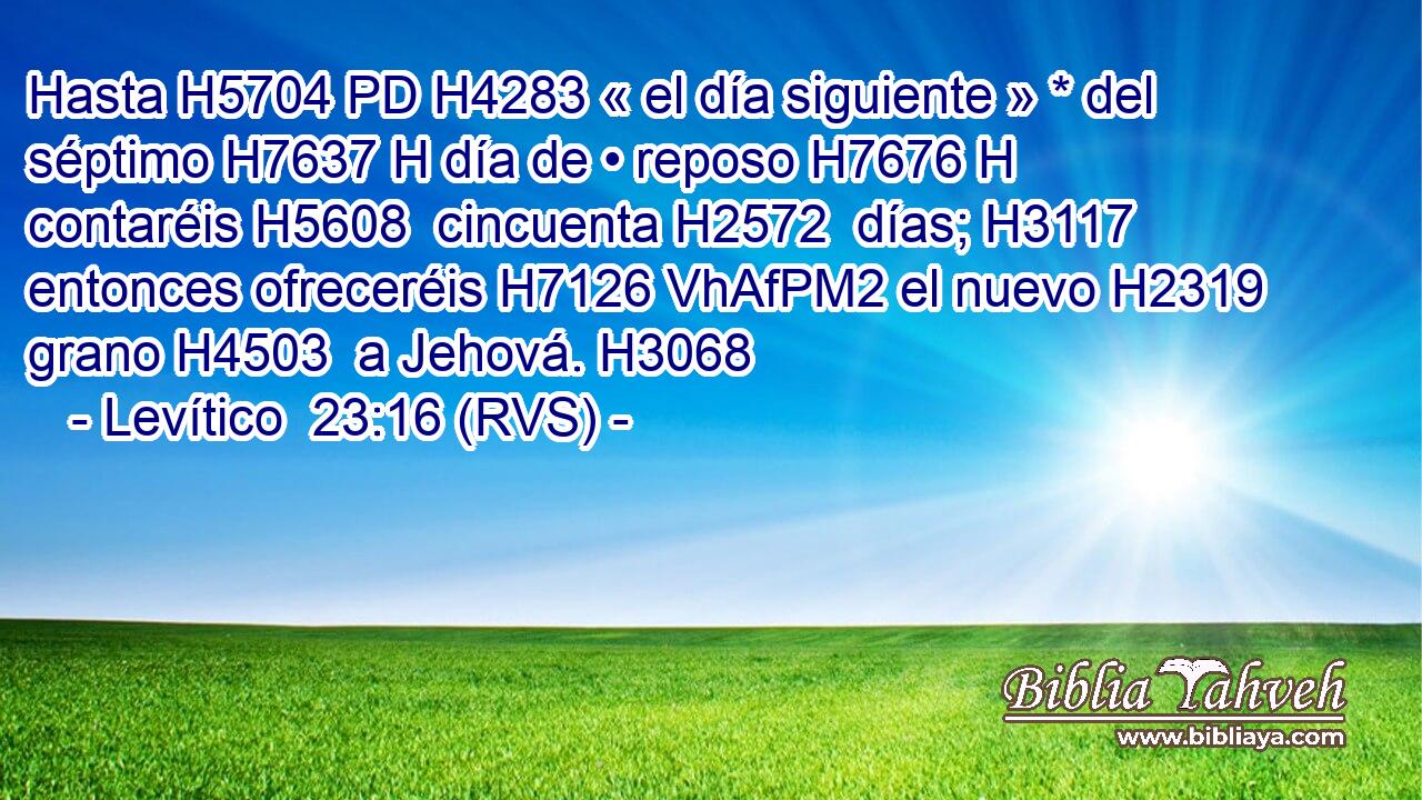 Hasta H5704 PD H4283 « el día siguiente » * del séptimo H7637 H día de • reposo H7676 H contaréis H5608  cincuenta H2572  días; H3117  entonces ofreceréis H7126 VhAfPM2 el nuevo H2319  grano H4503  a Jehová. H3068  