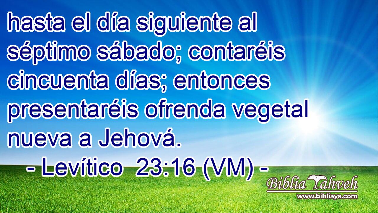  hasta el día siguiente al séptimo sábado; contaréis cincuenta días; entonces presentaréis ofrenda vegetal nueva a Jehová. 