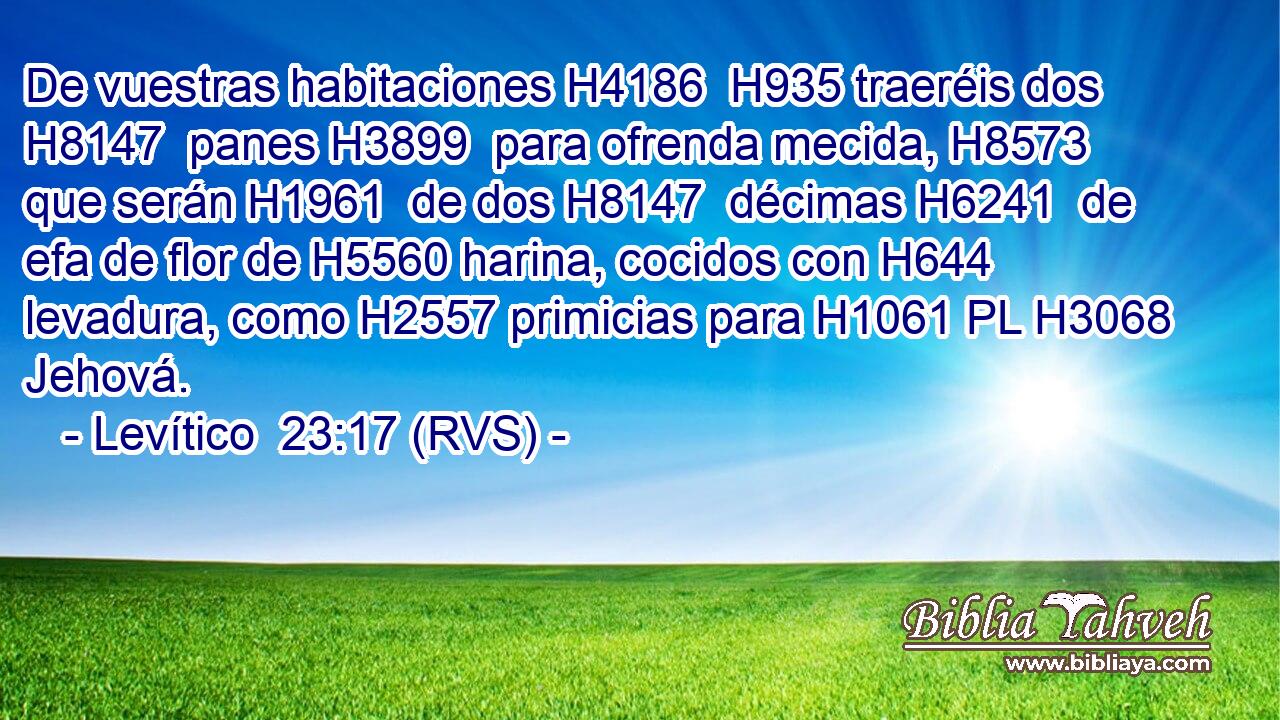 De vuestras habitaciones H4186  H935 traeréis dos H8147  panes H3899  para ofrenda mecida, H8573  que serán H1961  de dos H8147  décimas H6241  de efa de flor de H5560 harina, cocidos con H644 levadura, como H2557 primicias para H1061 PL H3068 Jehová. 
