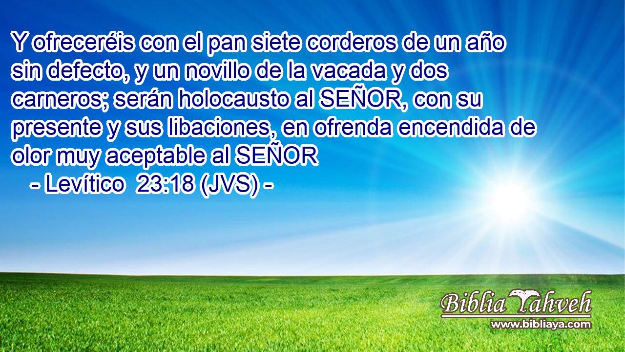 Y ofreceréis con el pan siete corderos de un año sin defecto, y un novillo de la vacada y dos carneros; serán holocausto al SEÑOR, con su presente y sus libaciones, en ofrenda encendida de olor muy aceptable al SEÑOR
