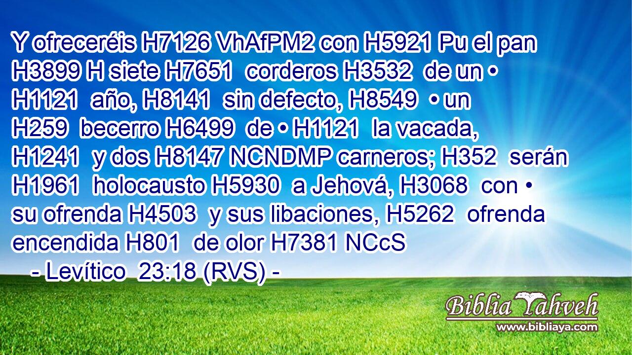 Y ofreceréis H7126 VhAfPM2 con H5921 Pu el pan H3899 H siete H7651  corderos H3532  de un • H1121  año, H8141  sin defecto, H8549  • un H259  becerro H6499  de • H1121  la vacada, H1241  y dos H8147 NCNDMP carneros; H352  serán H1961  holocausto H5930  a Jehová, H3068  con • su ofrenda H4503  y sus libaciones, H5262  ofrenda encendida H801  de olor H7381 NCcS