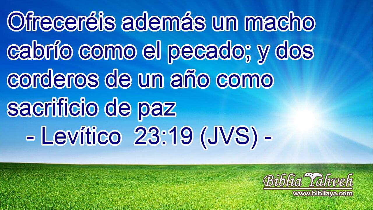 Ofreceréis además un macho cabrío como el pecado; y dos corderos de un año como sacrificio de paz
