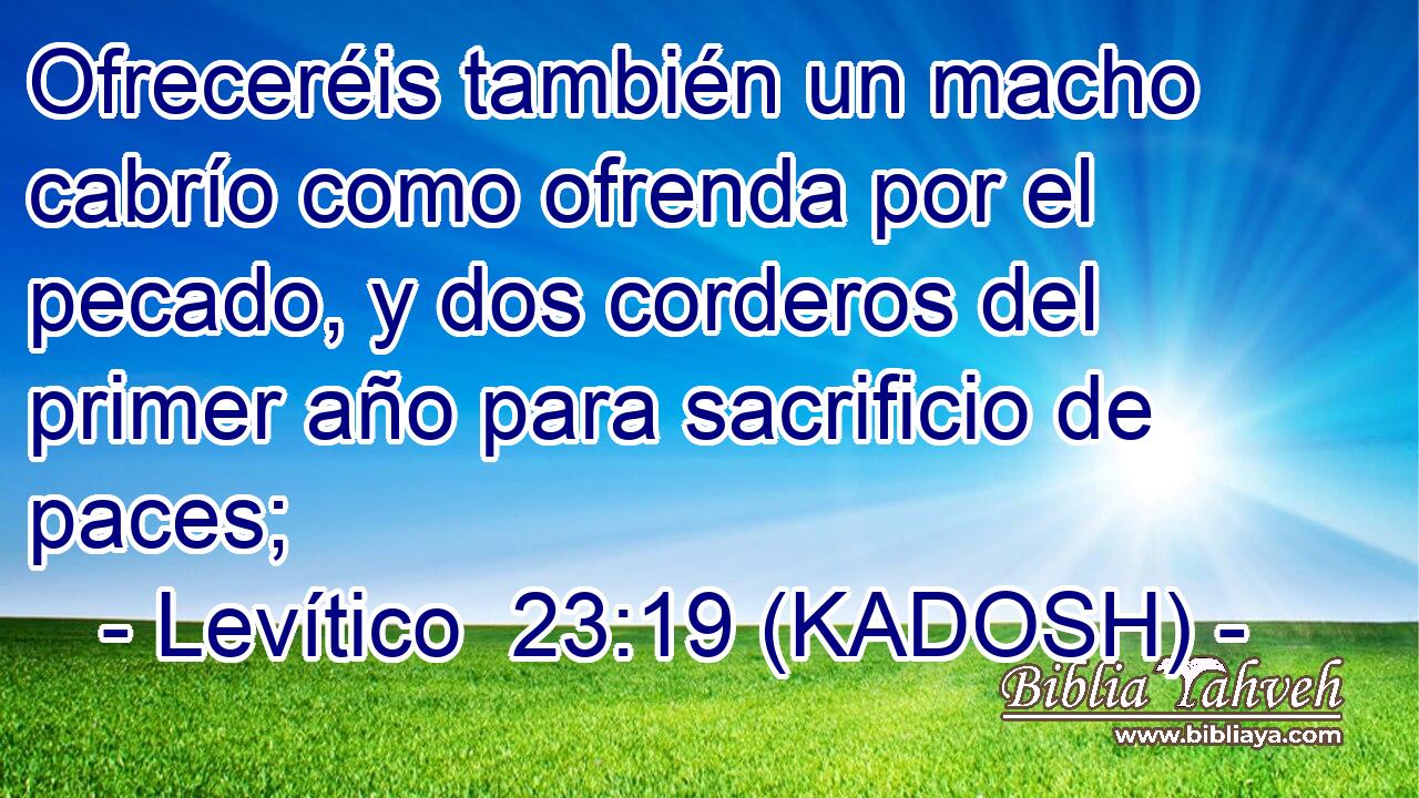  Ofreceréis también un macho cabrío como ofrenda por el pecado, y dos corderos del primer año para sacrificio de paces; 